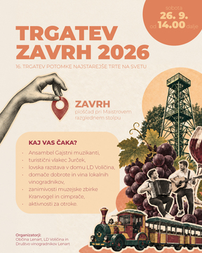 Zavrh trgatev 2026